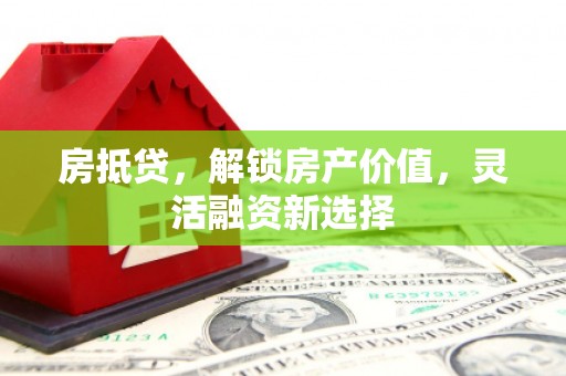 大名房抵贷，解锁房产价值，灵活融资新选择