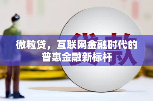 大名微粒贷，互联网金融时代的普惠金融新标杆