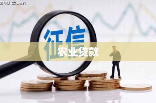 大名农业贷款