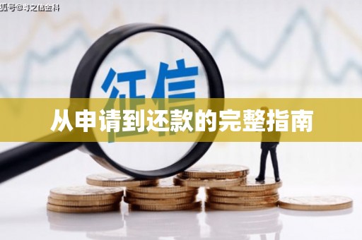 大名从申请到还款的完整指南