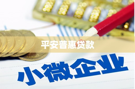 大名平安普惠贷款