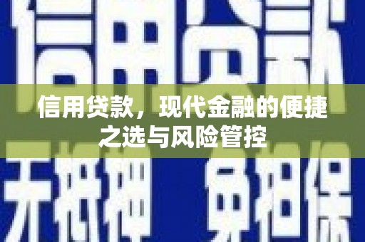 大名信用贷款，现代金融的便捷之选与风险管控