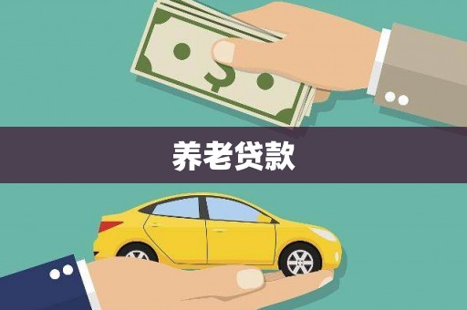 大名养老贷款