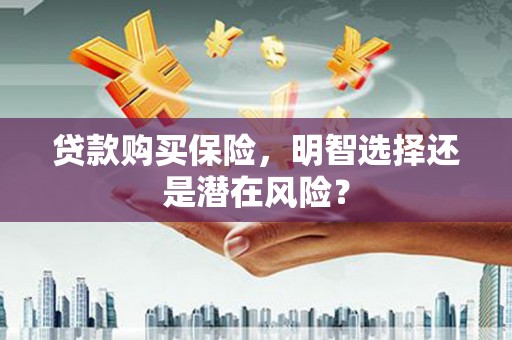 大名贷款购买保险，明智选择还是潜在风险？