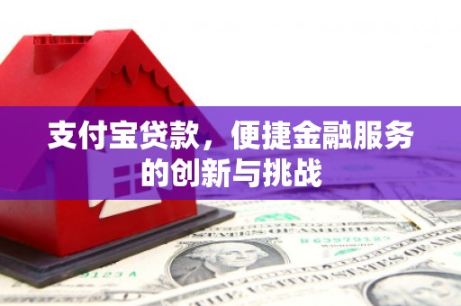 大名支付宝贷款，便捷金融服务的创新与挑战