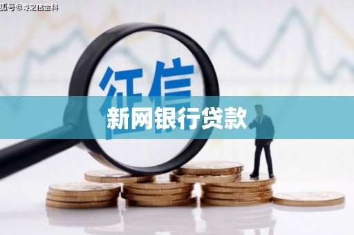 大名新网银行贷款