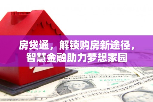 大名房贷通，解锁购房新途径，智慧金融助力梦想家园