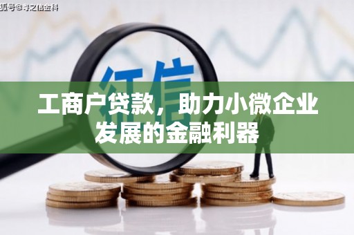 大名工商户贷款，助力小微企业发展的金融利器