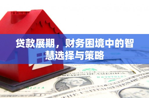 大名贷款展期，财务困境中的智慧选择与策略