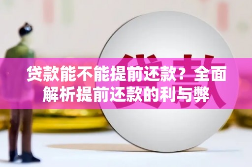 大名贷款能不能提前还款？全面解析提前还款的利与弊