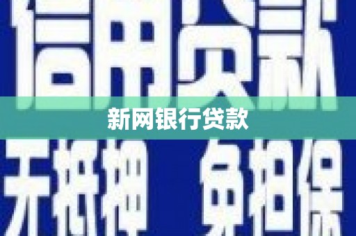 大名新网银行贷款