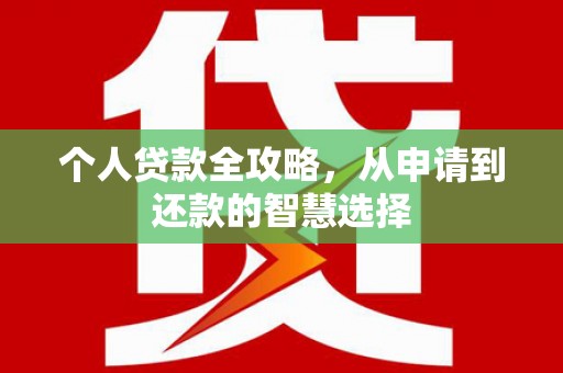 大名个人贷款全攻略，从申请到还款的智慧选择