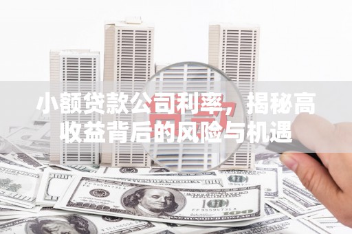 大名小额贷款公司利率，揭秘高收益背后的风险与机遇