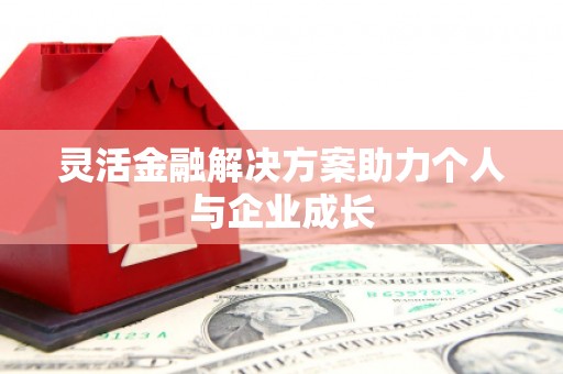 大名灵活金融解决方案助力个人与企业成长