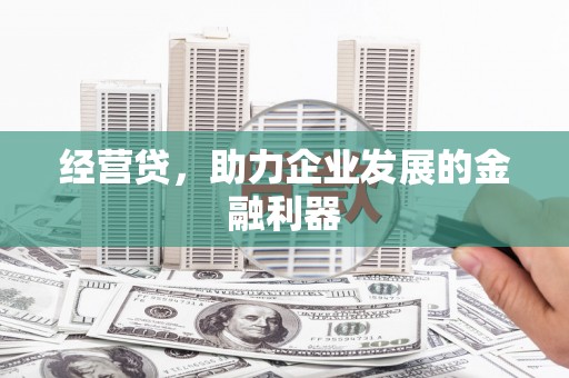 大名经营贷，助力企业发展的金融利器