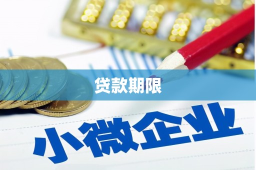 大名贷款期限
