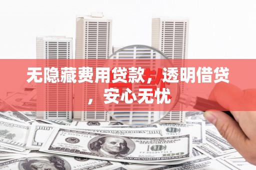 大名无隐藏费用贷款，透明借贷，安心无忧
