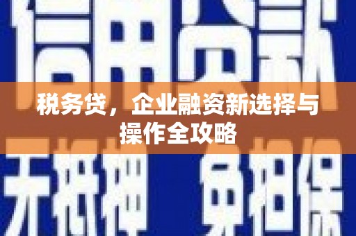 大名税务贷，企业融资新选择与操作全攻略