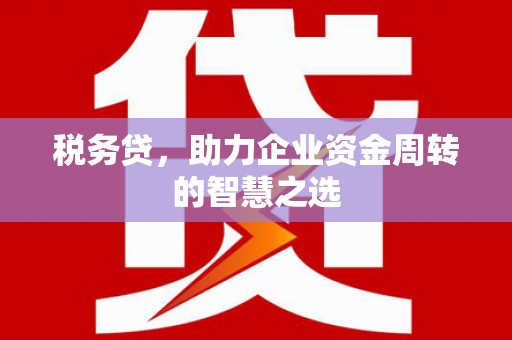 大名税务贷，助力企业资金周转的智慧之选