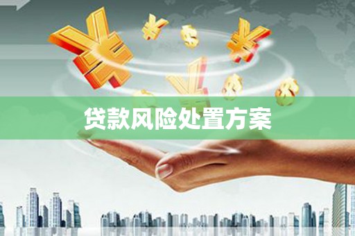 大名贷款风险处置方案