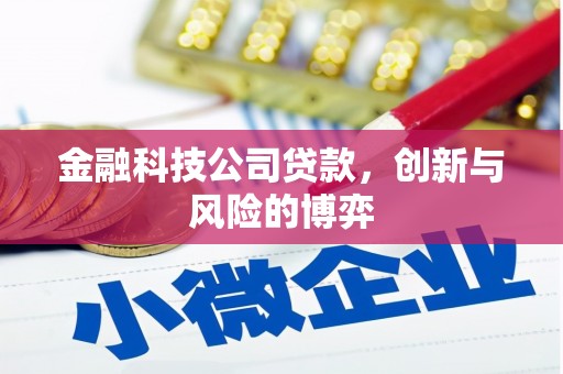 大名金融科技公司贷款，创新与风险的博弈