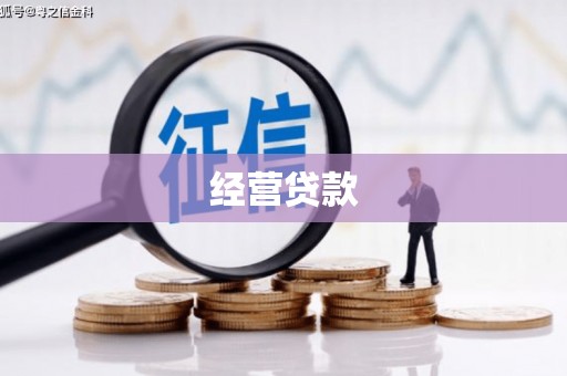 大名经营贷款