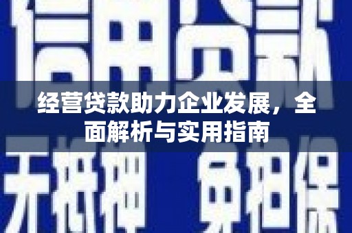 大名经营贷款助力企业发展，全面解析与实用指南