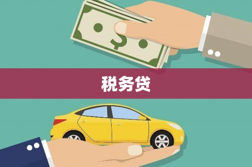 大名税务贷