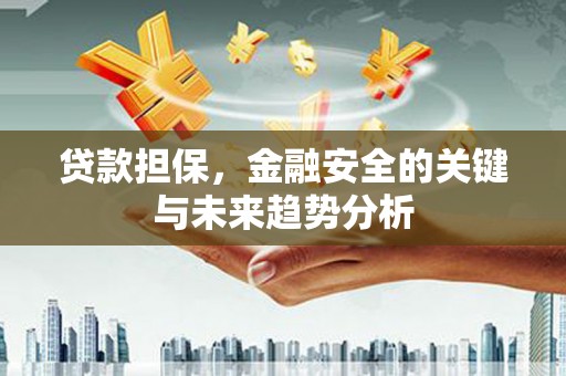 大名贷款担保，金融安全的关键与未来趋势分析