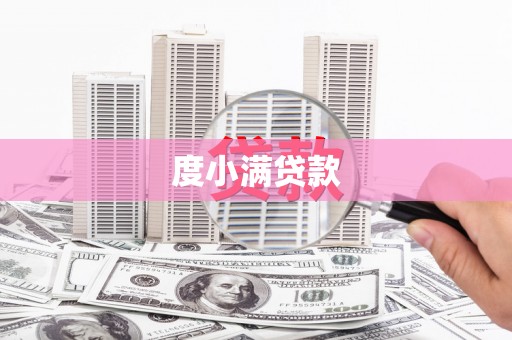 大名度小满贷款