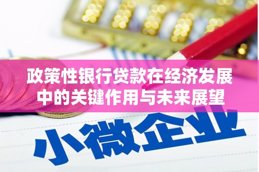 大名政策性银行贷款在经济发展中的关键作用与未来展望