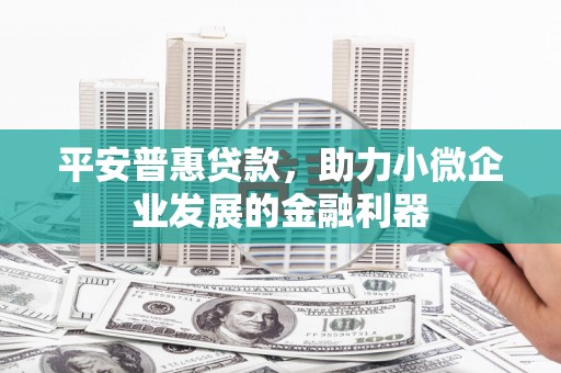 大名平安普惠贷款，助力小微企业发展的金融利器