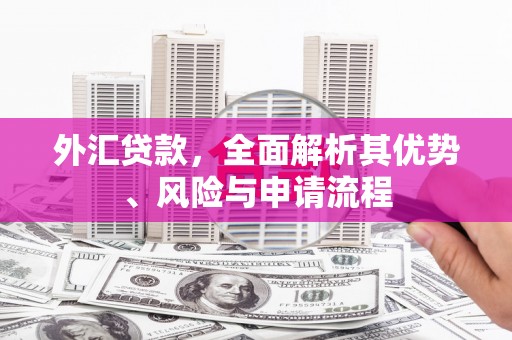 大名外汇贷款，全面解析其优势、风险与申请流程
