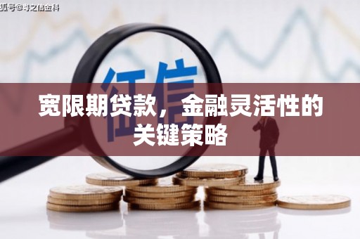 大名宽限期贷款，金融灵活性的关键策略