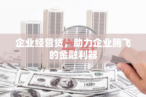 大名企业经营贷，助力企业腾飞的金融利器