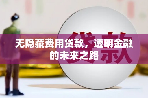 大名无隐藏费用贷款，透明金融的未来之路