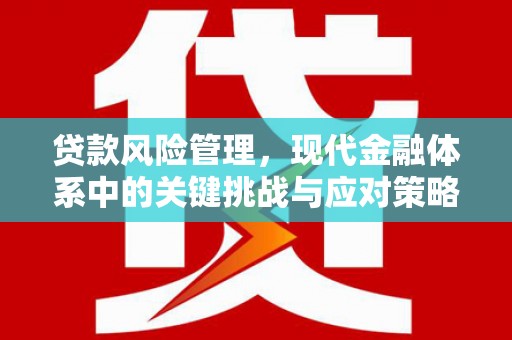 大名贷款风险管理，现代金融体系中的关键挑战与应对策略