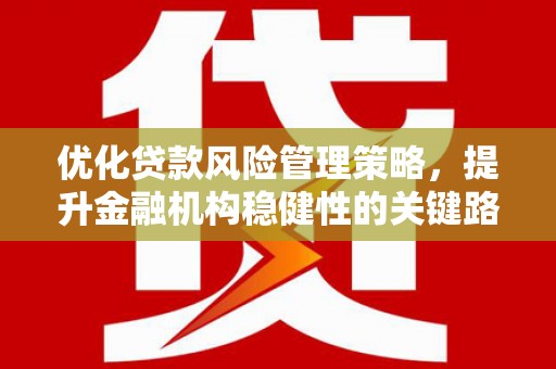 大名优化贷款风险管理策略，提升金融机构稳健性的关键路径
