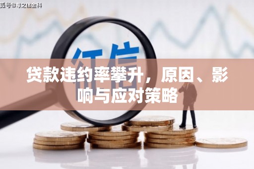 大名贷款违约率攀升，原因、影响与应对策略