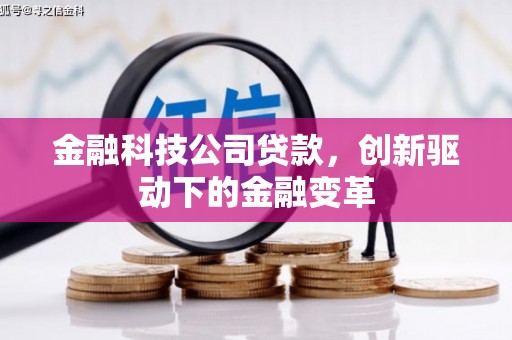 大名金融科技公司贷款，创新驱动下的金融变革