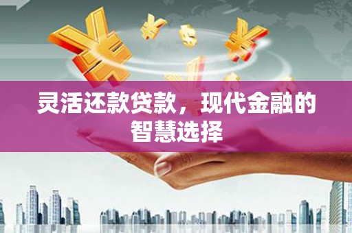 大名灵活还款贷款，现代金融的智慧选择