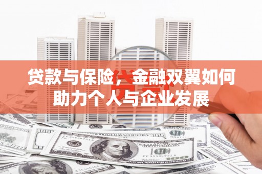大名贷款与保险，金融双翼如何助力个人与企业发展