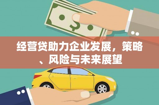 大名经营贷助力企业发展，策略、风险与未来展望