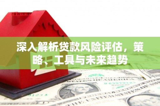 大名深入解析贷款风险评估，策略、工具与未来趋势