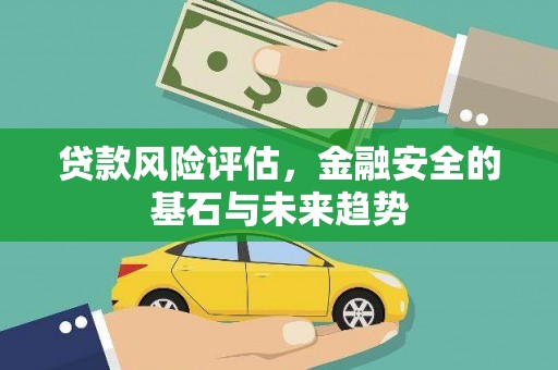 大名贷款风险评估，金融安全的基石与未来趋势