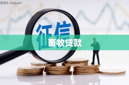 大名畜牧贷款