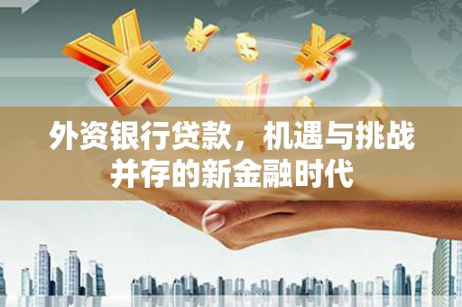 大名外资银行贷款，机遇与挑战并存的新金融时代