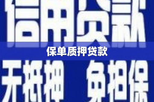 大名保单质押贷款