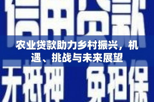 大名农业贷款助力乡村振兴，机遇、挑战与未来展望