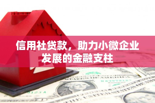 大名信用社贷款，助力小微企业发展的金融支柱